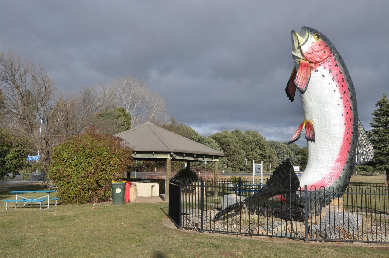 Selwyn Star Lodge アダミナビー エクステリア 写真